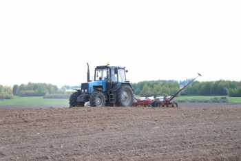 В Мстиславском районе посеяно более двух тысяч гектаров кукурузы. Узнали, кто в лидерах на этом участке работ