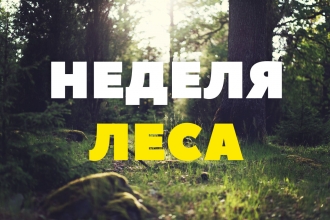 Неделя леса!