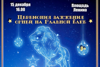 Огни на главной елке области зажгут 15 декабря