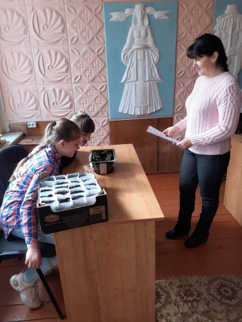 4 апреля в Копачёвском СДК прошло заседания клуба цветоводства
«Орхидея»