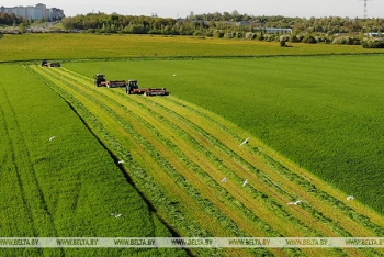 В Беларуси завершается первый укос трав