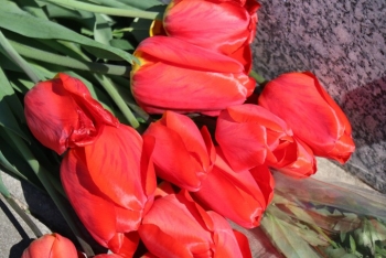 Руководство района поздравляет всех причастных с Днём пожарной службы