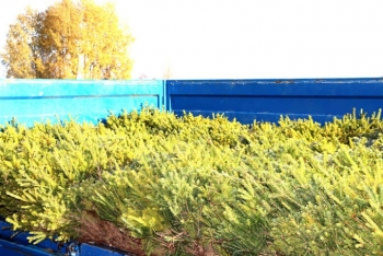 Посмотрите, как мстиславчане поучаствовали в экологической акции