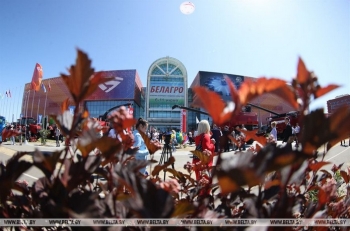 Взаимная торговля в сфере сельского хозяйства между Беларусью и РФ за первый квартал выросла на 25%