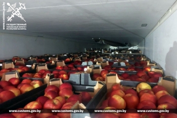 Пять фактов незаконной транспортировки яблок выявили могилевские таможенники за последние две недели. Во всех случаях фрукты намеревались вывезти из Беларуси для незаконной реализации в России