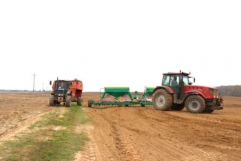 Около двух тысяч гектаров ранних зерновых посеяно на Мстиславщине