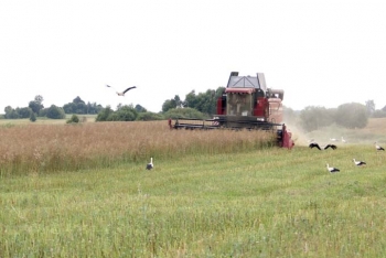 Лидеры в уборке урожая