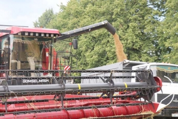 В Мстиславском районе обмолочены первые сотни гектаров озимых зерновых. Как сообщили в управлении по сельскому хозяйству и продовольствию Мстиславского райисполкома к их выборочной уборке приступило большинство сельхозпредприятий