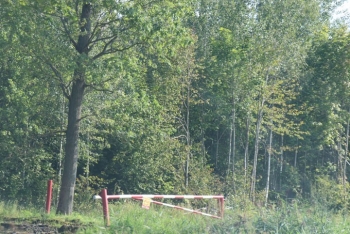 Пошёл в лес, а получил штраф. Объясняем почему