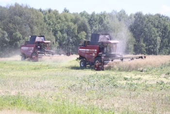 Посмотрите, с каким настроением убирают с полей рапс аграрии ОАО «Натопа-Агро»