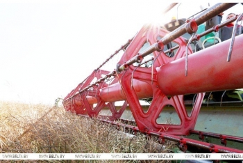 Лукашенко об уборочной: надо посмотреть с тактикой, сейчас уже не по стратегии вопрос