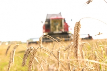 Экватор на поле и почти 50 тысяч тонн в закромах. Каких результатов достигли аграрии