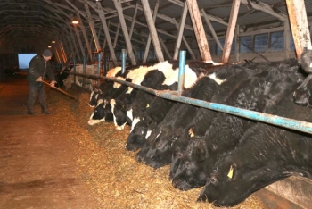 Животноводы ОАО «Мстиславский райагропромтехснаб» по итогам 2022 года по многим позициям получили прибавку к уровню 2021 года