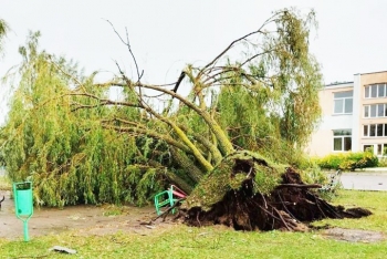 Чем опасны сильные ветра. Оранжевый уровень опасности объявлен по стране