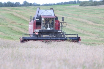 Финальная сотня гектаров жатвы-2024 на Мстиславщине