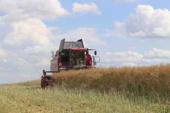 Кормозаготовка и уборочные работы. Что сегодня в приоритете аграриев