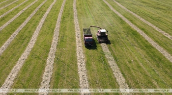 В Беларуси первый укос трав проведен почти на 48% площадей