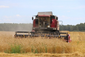 Мстиславские аграрии продолжают уборку зерновых культур