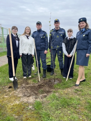 Школа. БРСМ. Таможня