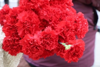 День чернобыльской трагедии. Обращение руководства района