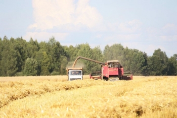 Благодарности за тысячные результаты. Кого чествовали в ОАО «Мазоловское»