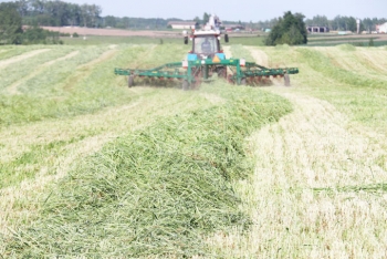 В Мстиславском районе прошёл семинар по заготовке кормов. Узнали подробности