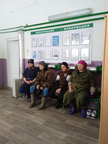 На территории Мстиславского района в трудовых коллективах МТК и МТФ прошел День животновода